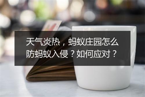 天气炎热,蚂蚁庄园怎么防蚂蚁入侵?如何应对?