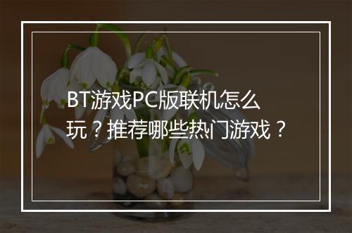 BT游戏PC版联机怎么玩?推荐哪些热门游戏?