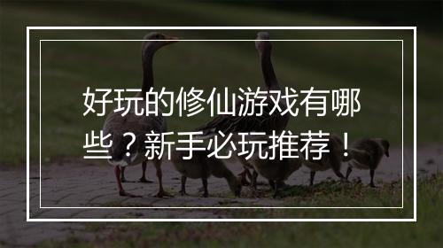 好玩的修仙游戏有哪些？新手必玩推荐！