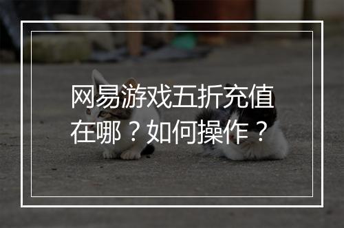 网易游戏五折充值在哪?如何操作?