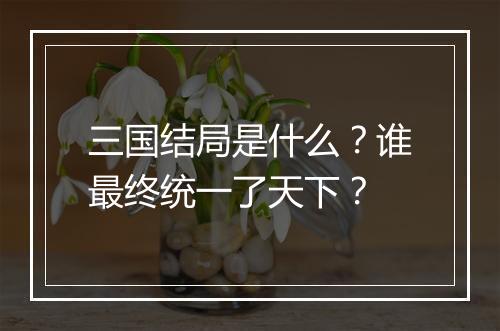 三国结局是什么？谁最终统一了天下？