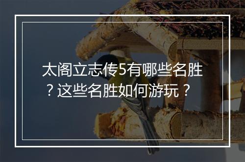 太阁立志传5有哪些名胜?这些名胜如何游玩?