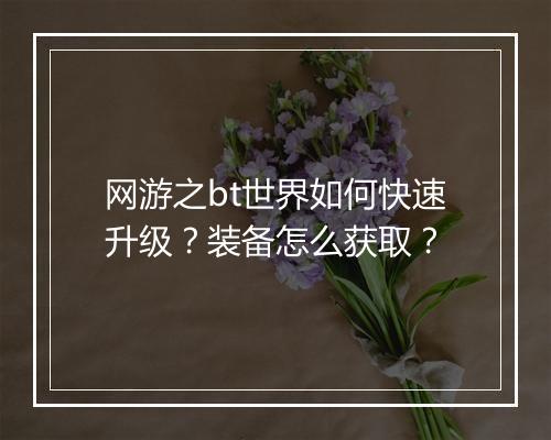 网游之bt世界如何快速升级？装备怎么获取？