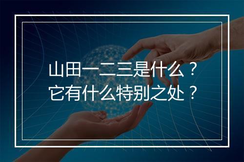 山田一二三是什么？它有什么特别之处？