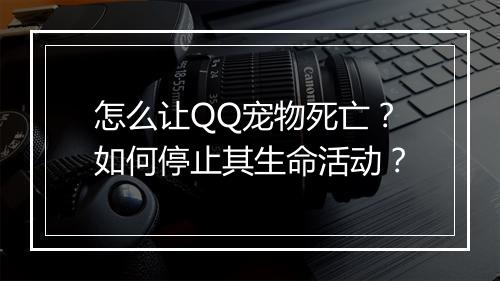 怎么让QQ宠物死亡?如何停止其生命活动?