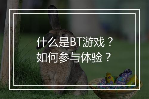什么是BT游戏？如何参与体验？