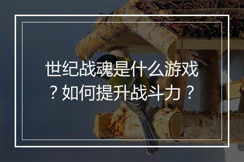 世纪战魂是什么游戏?如何提升战斗力?