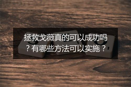 拯救戈薇真的可以成功吗?有哪些方法可以实施?