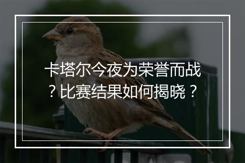卡塔尔今夜为荣誉而战?比赛结果如何揭晓?