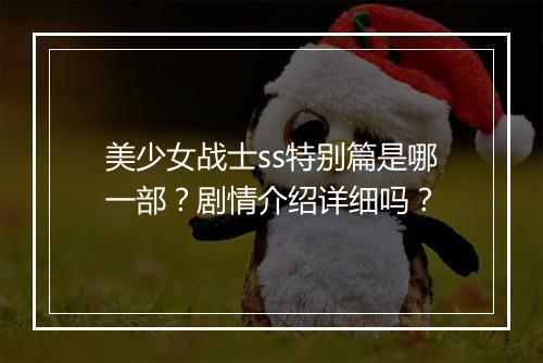 美少女战士ss特别篇是哪一部？剧情介绍详细吗？
