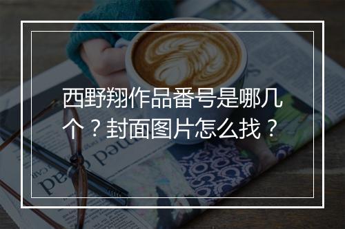 西野翔作品番号是哪几个?封面图片怎么找?