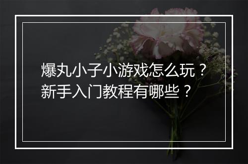 爆丸小子小游戏怎么玩?新手入门教程有哪些?