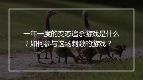 一年一度的变态追杀游戏是什么?如何参与这场刺激的游戏?