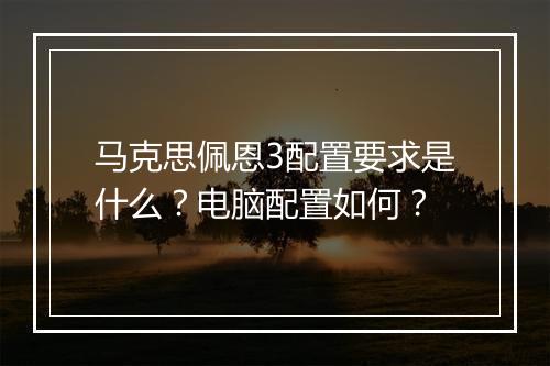 马克思佩恩3配置要求是什么?电脑配置如何?