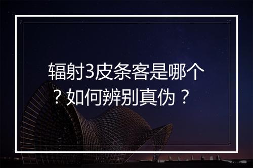辐射3皮条客是哪个？如何辨别真伪？