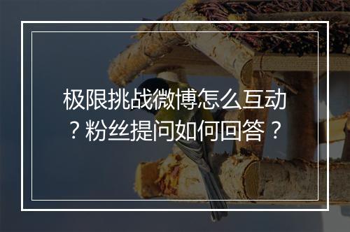 极限挑战微博怎么互动？粉丝提问如何回答？