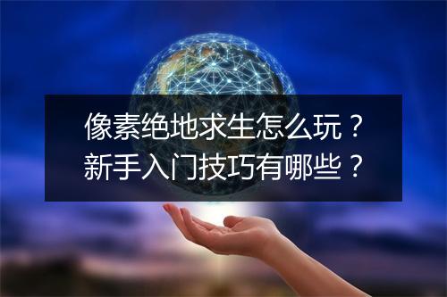 像素绝地求生怎么玩?新手入门技巧有哪些?