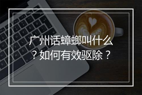 广州话蟑螂叫什么?如何有效驱除?