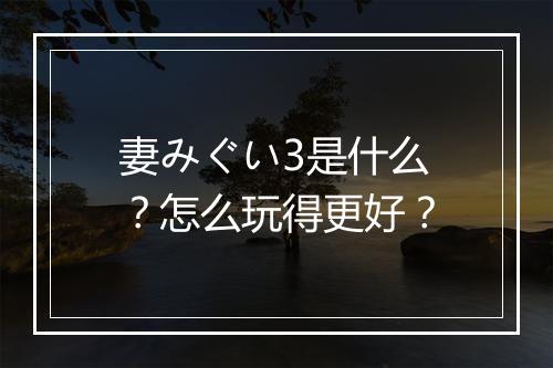 妻みぐい3是什么？怎么玩得更好？