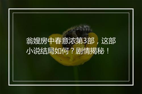 翁嫂房中春意浓第3部，这部小说结局如何？剧情揭秘！