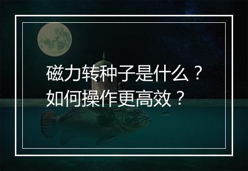 磁力转种子是什么？如何操作更高效？