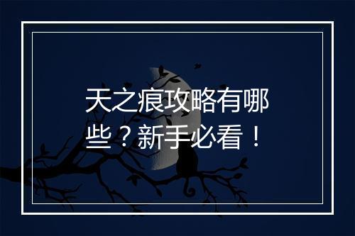 天之痕攻略有哪些？新手必看！