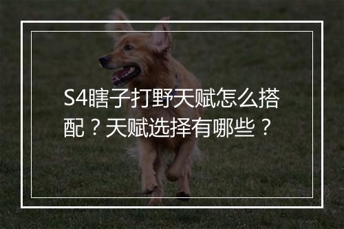 S4瞎子打野天赋怎么搭配？天赋选择有哪些？