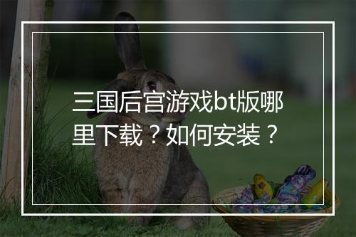 三国后宫游戏bt版哪里下载?如何安装?