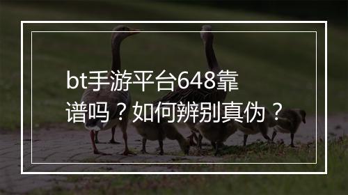 bt手游平台648靠谱吗？如何辨别真伪？