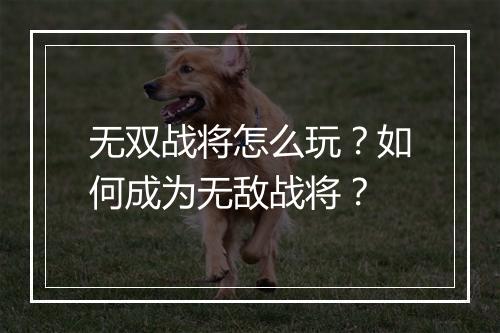 无双战将怎么玩?如何成为无敌战将?