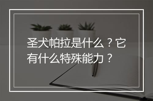 圣犬帕拉是什么?它有什么特殊能力?