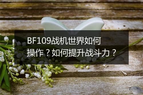 BF109战机世界如何操作？如何提升战斗力？