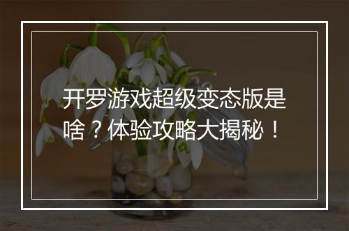 开罗游戏超级变态版是啥?体验攻略大揭秘!