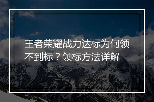 王者荣耀战力达标为何领不到标？领标方法详解