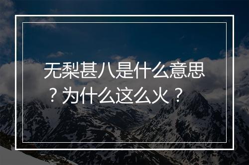 无梨甚八是什么意思？为什么这么火？
