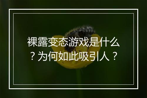 裸露变态游戏是什么？为何如此吸引人？