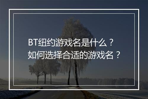 BT纽约游戏名是什么?如何选择合适的游戏名?