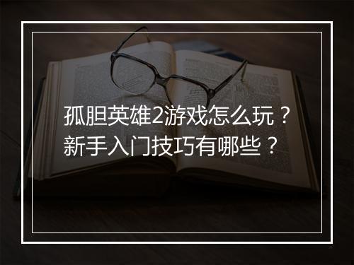 孤胆英雄2游戏怎么玩？新手入门技巧有哪些？