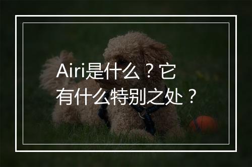 Airi是什么？它有什么特别之处？