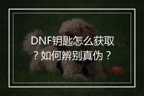DNF钥匙怎么获取?如何辨别真伪?