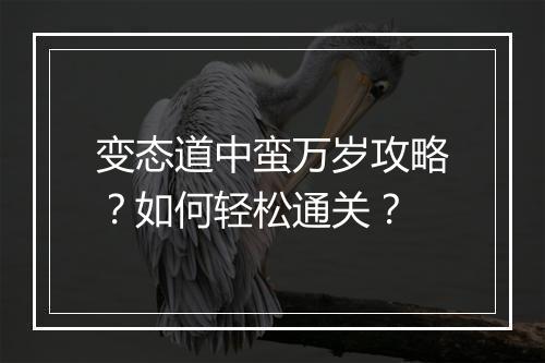 变态道中蛮万岁攻略？如何轻松通关？