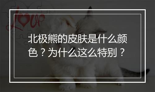 北极熊的皮肤是什么颜色？为什么这么特别？