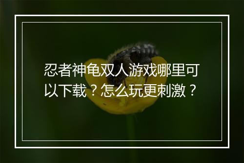 忍者神龟双人游戏哪里可以下载?怎么玩更刺激?