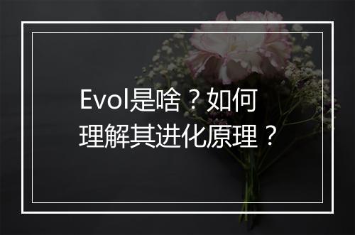 Evol是啥？如何理解其进化原理？