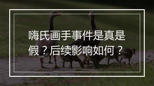 嗨氏画手事件是真是假？后续影响如何？