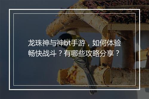 龙珠神与神bt手游，如何体验畅快战斗？有哪些攻略分享？