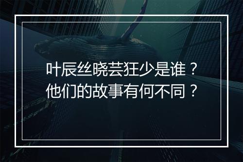 叶辰丝晓芸狂少是谁？他们的故事有何不同？