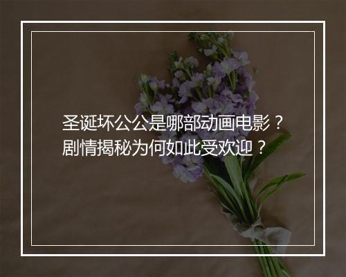 圣诞坏公公是哪部动画电影？剧情揭秘为何如此受欢迎？