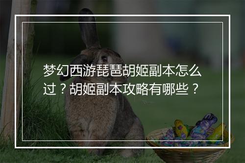 梦幻西游琵琶胡姬副本怎么过？胡姬副本攻略有哪些？