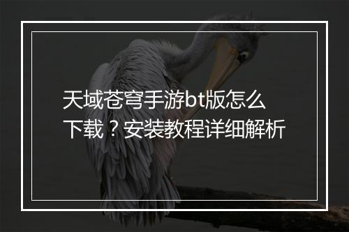 天域苍穹手游bt版怎么下载？安装教程详细解析